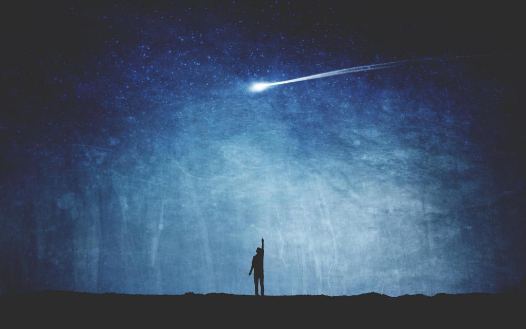 你有你的万家灯火，我有我的浪迹天涯。